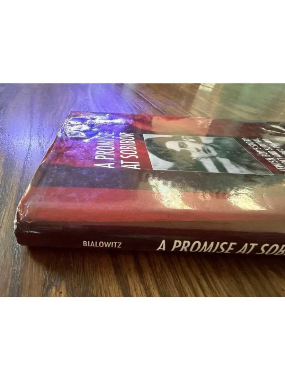 A‎ Promise at Sobibór: A Jewish Boy's Story of Revolt and Survival in Nazi: VG